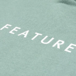 Women's Logo Hoodie - Sage -Fashion Clothing Store Feature Womens Logo Hoodie Sage FEA020421004 02 23 2021 01 3