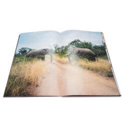 "Prince Street" Photo Book - Multi -Fashion Clothing Store Fucking Awesome x Jason Dill Photo Book Multi FAXJASONDILL 05 03 22 Feature 2