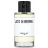 Zeste De Gingembre 100 Ml - Multi
