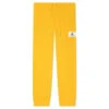 Jordan Essential Statement Fleece Pants - Pollen