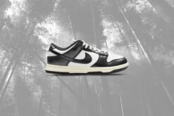 Nike Women's Dunk Low 'Vintage Panda' - White/Black/Coconut Milk -Fashion Clothing Store Nike Dunk Low PRM Women s White Black Coconut Milk FQ8899 100 10 09 23 Feature VR a6919cd1 63cb 43a0 b4df 71f01c07c1ee