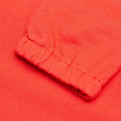 BB Aesthetics Jogger - Cayenne -Fashion Clothing Store billionaire boys club bb aesthetics jogger cayenne 4