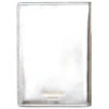 Common Projects Passport Folio - Silver